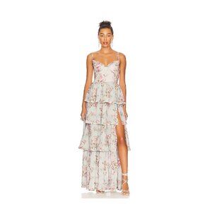 v chapman caterina dress tapestry rose print size 0 NWOT